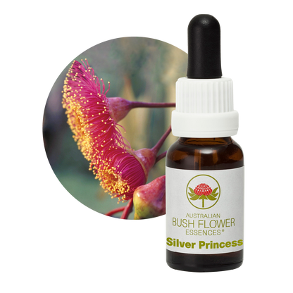 Australian Bush Flower Silver Princess Stock Essence – 15ml original manufacturer product photograph