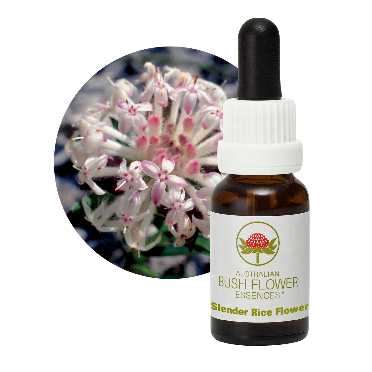 Australian Bush Flower Slender Rice Flower Stock Essence – 15ml manufacturer packaging photograph