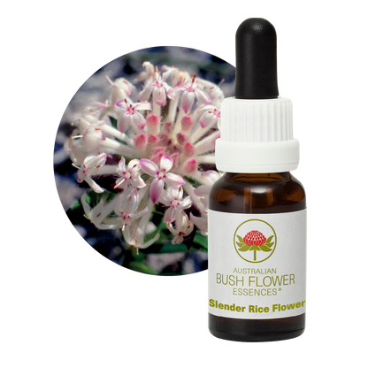 Australian Bush Flower Slender Rice Flower Stock Essence – 15ml manufacturer packaging photograph