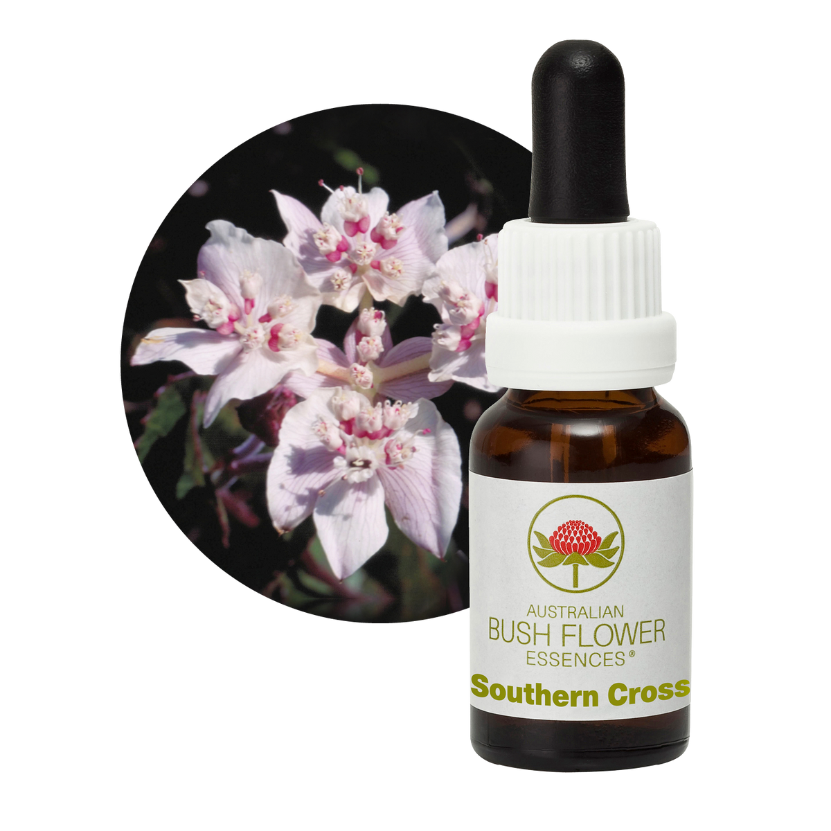 Australian Bush Flower Southern Cross Stock Essence – 15ml manufacturer packaging photograph