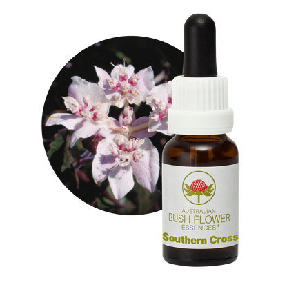 Australian Bush Flower Southern Cross Stock Essence – 15ml manufacturer packaging photograph