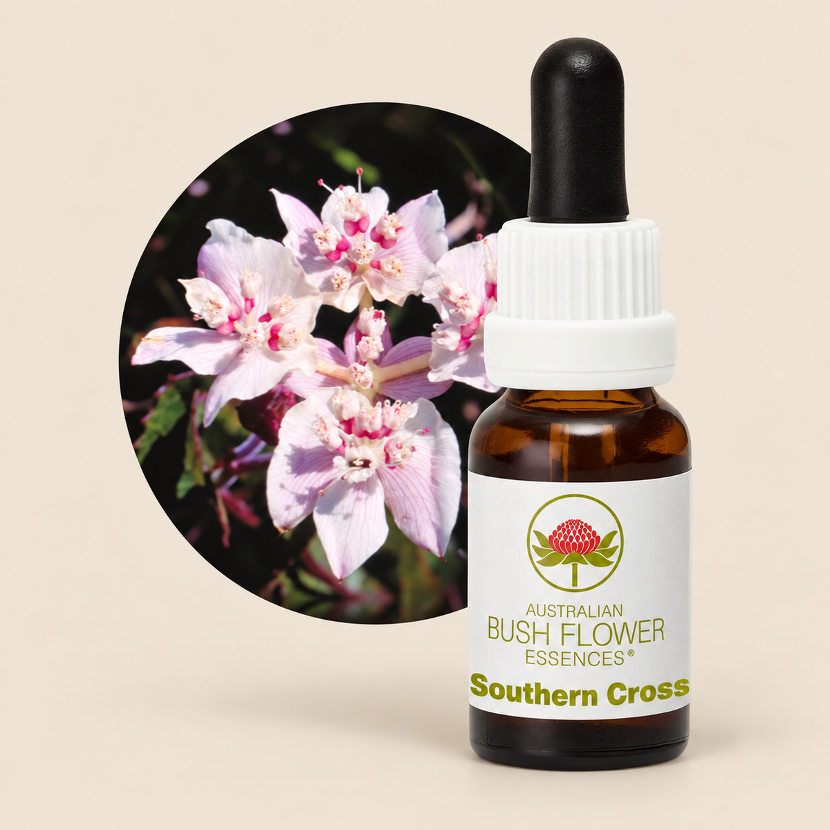 Australian Bush Flower Southern Cross Stock Essence – 15ml on a warm beige background