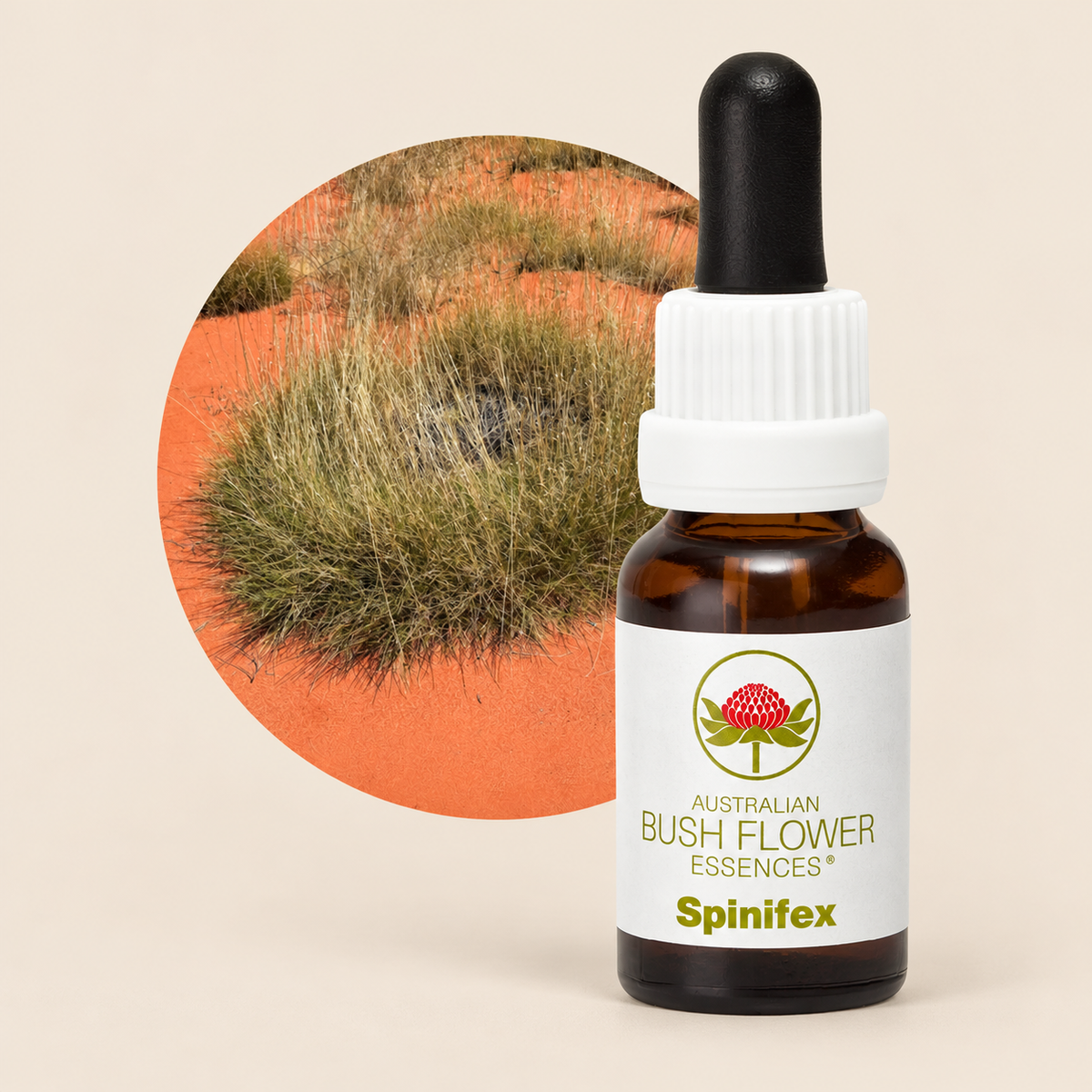 Australian Bush Flower Spinifex Stock Essence – 15ml on a warm beige background