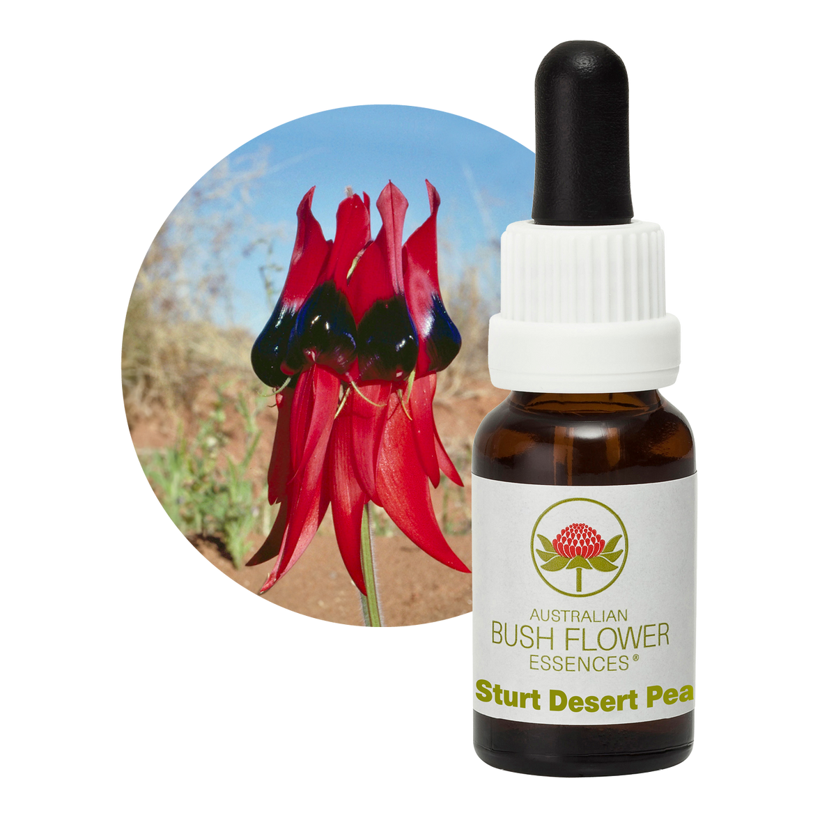 Australian Bush Flower Sturt Desert Pea Stock Essence – 15ml manufacturer packaging photograph