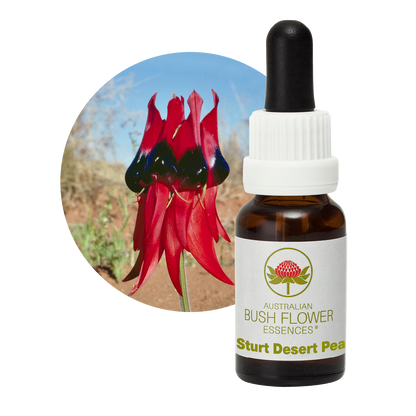 Australian Bush Flower Sturt Desert Pea Stock Essence – 15ml manufacturer packaging photograph