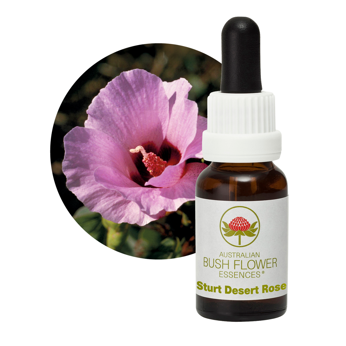 Australian Bush Flower Sturt Desert Rose Stock Essence – 15ml manufacturer packaging photograph