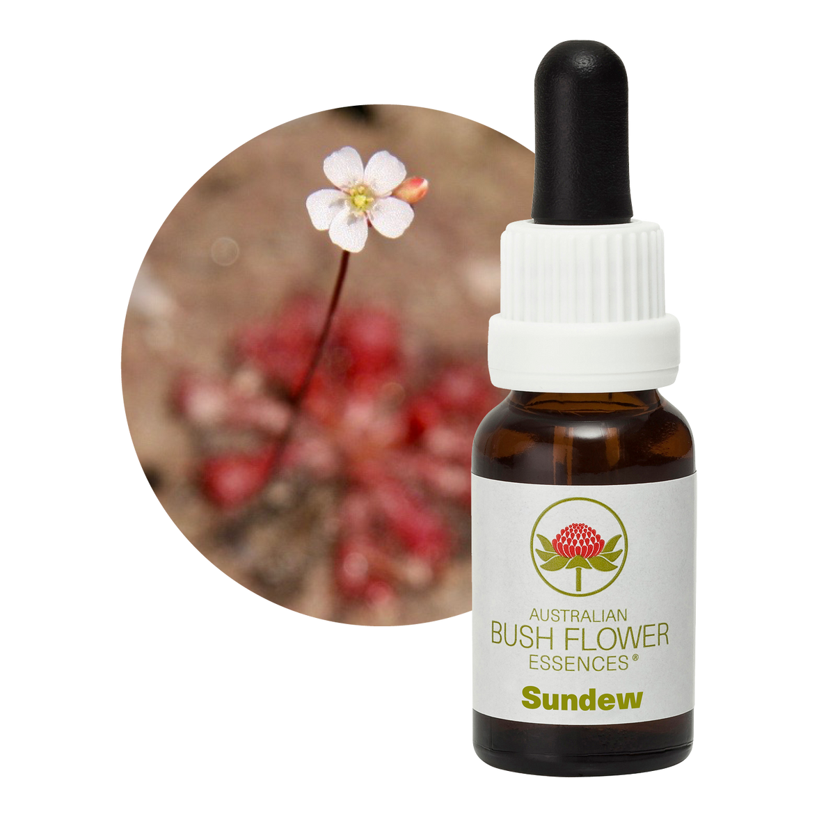 Australian Bush Flower Sundew Stock Essence – 15ml manufacturer packaging photograph