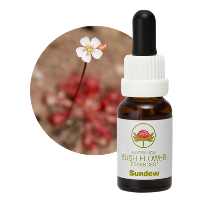 Australian Bush Flower Sundew Stock Essence – 15ml manufacturer packaging photograph