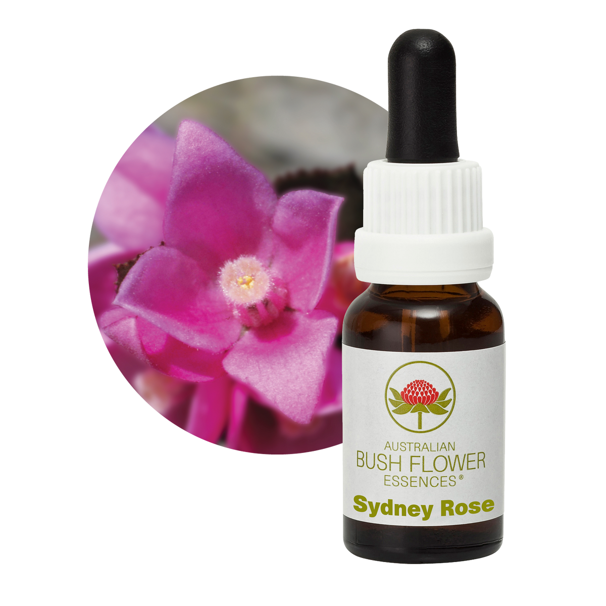 Australian Bush Flower Sydney Rose Stock Essence – 15ml — original manufacturer packaging
