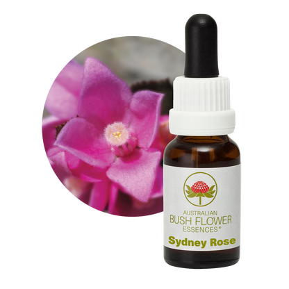 Australian Bush Flower Sydney Rose Stock Essence – 15ml — original manufacturer packaging