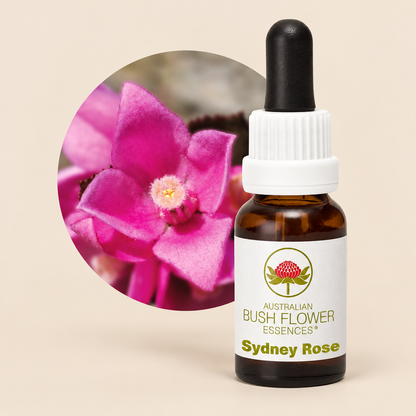 Australian Bush Flower Sydney Rose Stock Essence – 15ml on a warm beige background