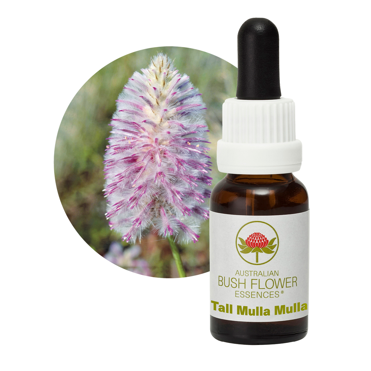 Australian Bush Flower Tall Mulla Mulla Stock Essence – 15ml — original manufacturer packaging