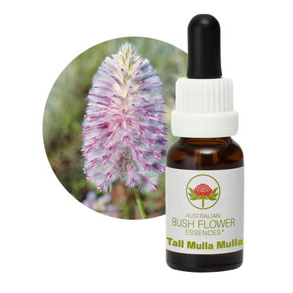 Australian Bush Flower Tall Mulla Mulla Stock Essence – 15ml — original manufacturer packaging