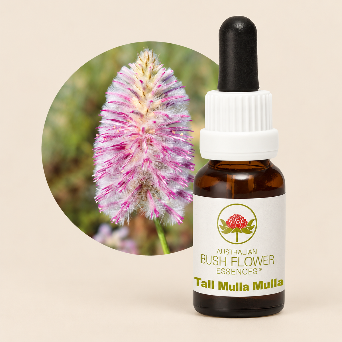 Australian Bush Flower Tall Mulla Mulla Stock Essence – 15ml on a warm beige background