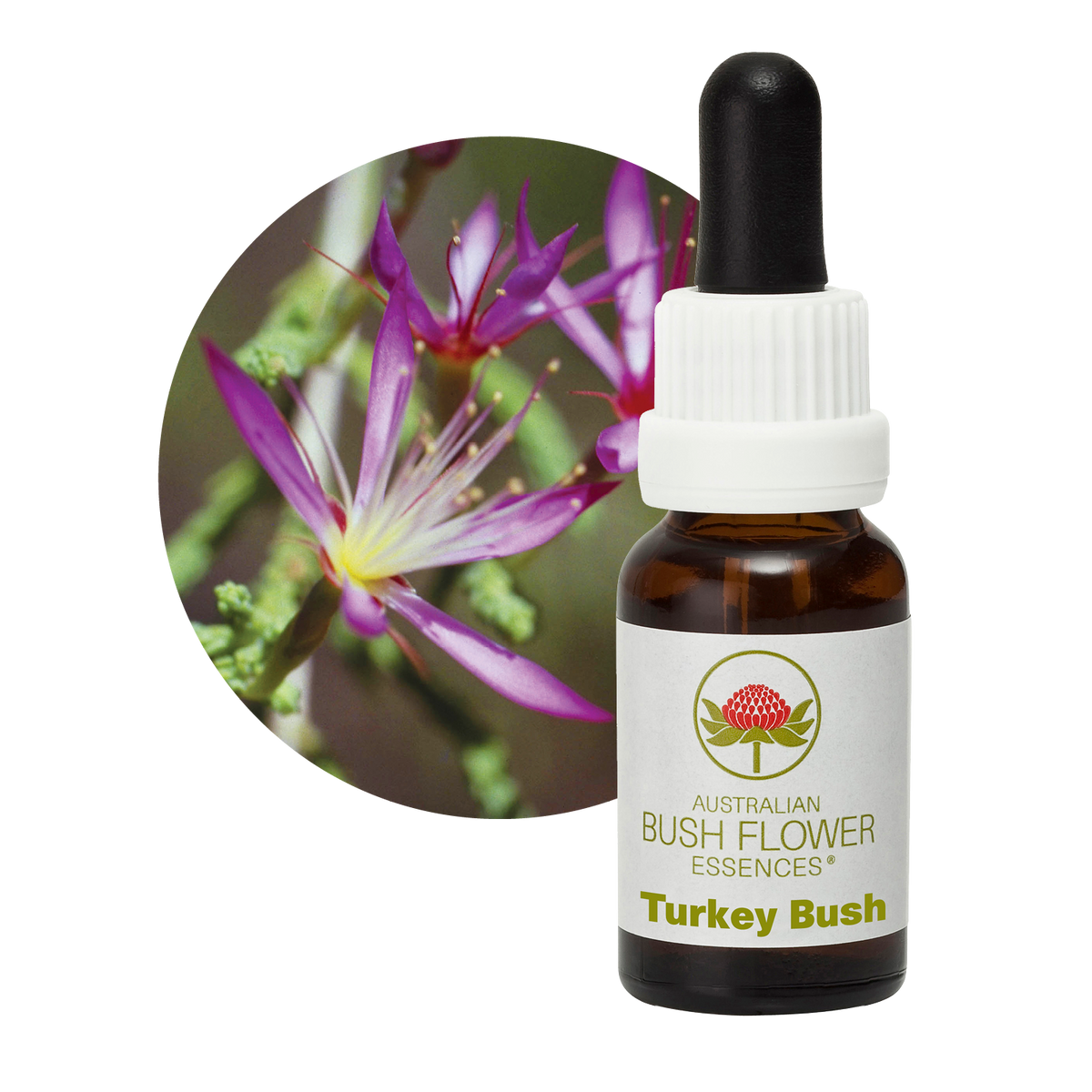 Australian Bush Flower Turkey Bush Stock Essence – 15ml — original manufacturer packaging