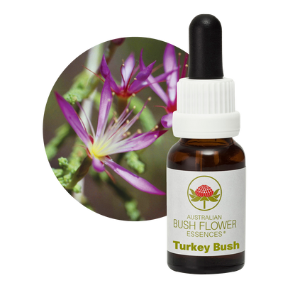 Australian Bush Flower Turkey Bush Stock Essence – 15ml — original manufacturer packaging