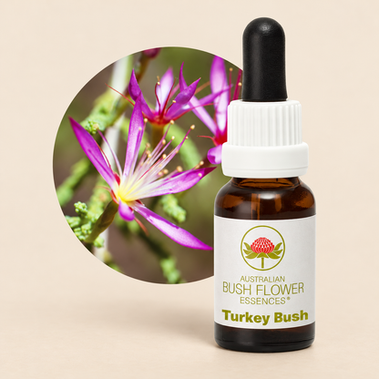 Australian Bush Flower Turkey Bush Stock Essence – 15ml on a warm beige background
