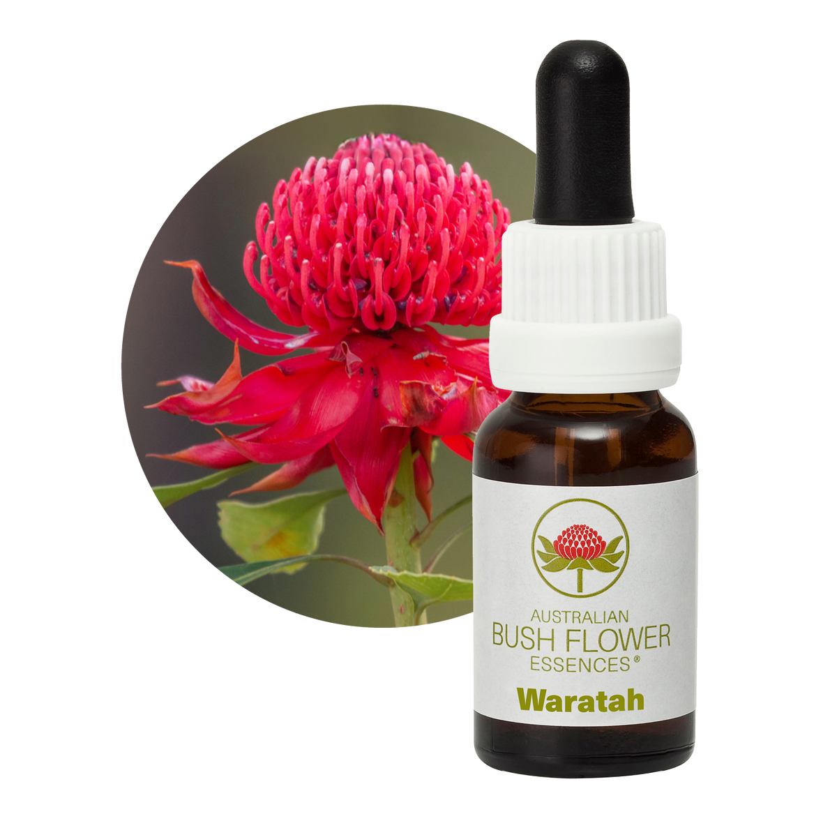 Australian Bush Flower Waratah Stock Essence – 15ml — original manufacturer packaging