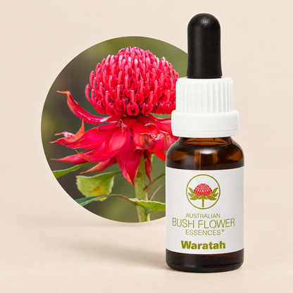Australian Bush Flower Waratah Stock Essence – 15ml on a warm beige background