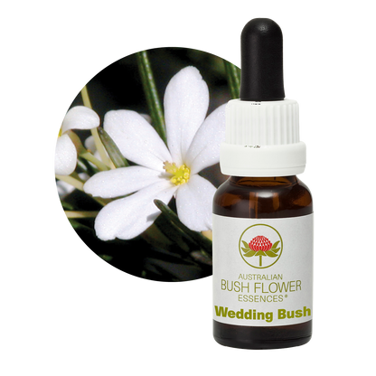 Australian Bush Flower Wedding Bush Stock Essence – 15ml — original manufacturer packaging