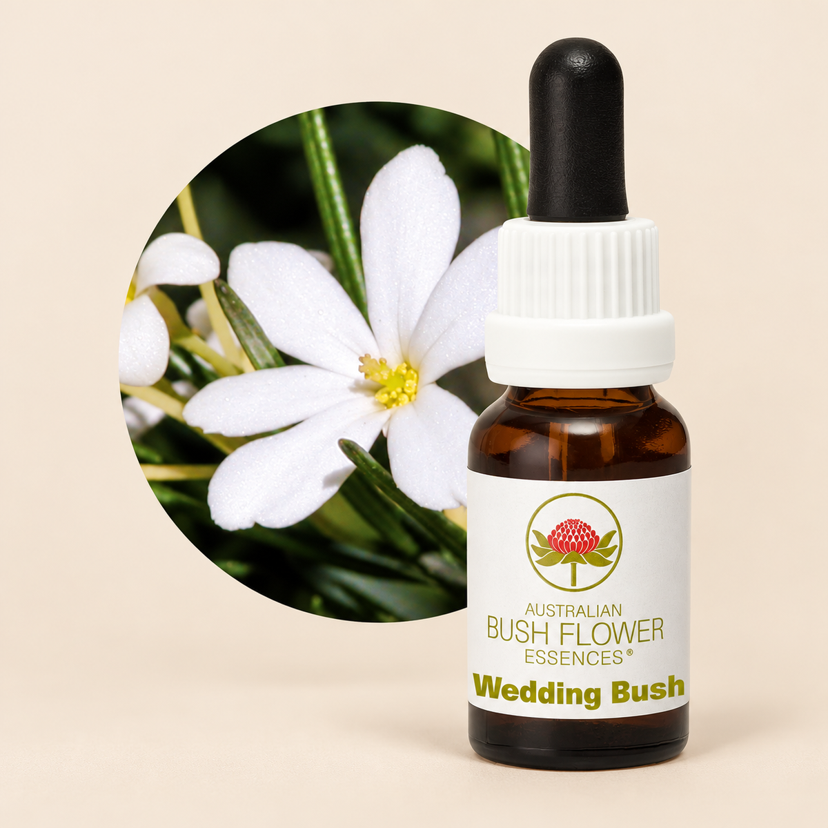 Australian Bush Flower Wedding Bush Stock Essence – 15ml on a warm beige background