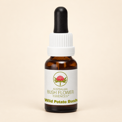 Australian Bush Flower Wild Potato Bush Stock Essence – 15ml on a warm beige background