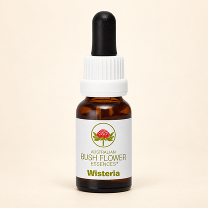 Australian Bush Flower Wisteria Stock Essence – 15ml on a warm beige background