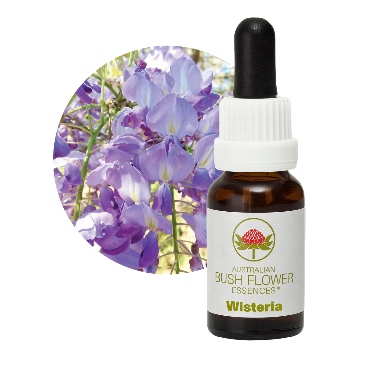 Australian Bush Flower wisteria original product packaging