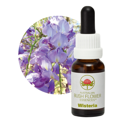 Australian Bush Flower wisteria original product packaging