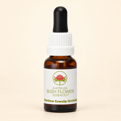 Australian Bush Flower Yellow Cowslip Orchid Stock Essence – 15ml on a warm beige background